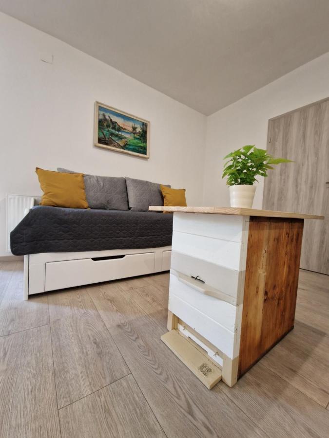 Appartamento Medeni Apartma Pivka Esterno foto