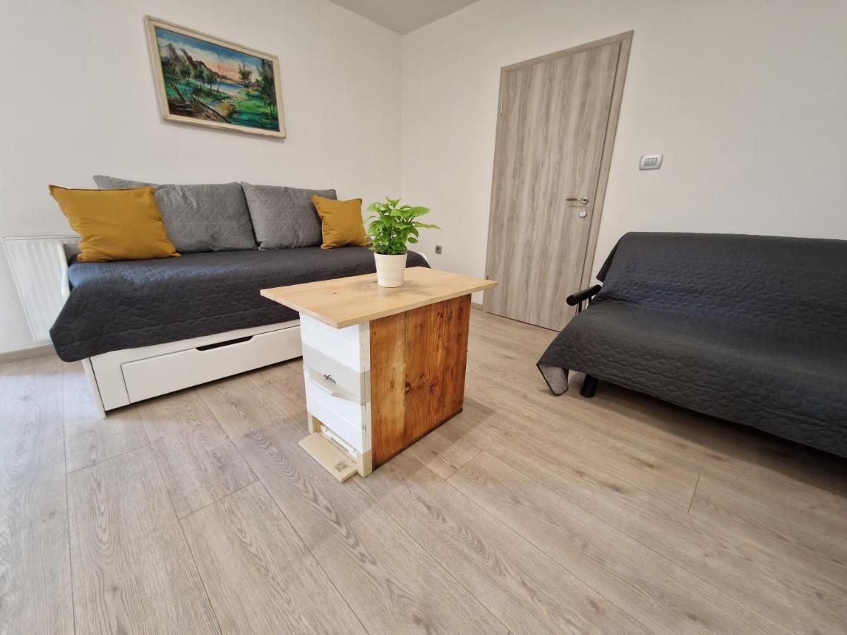 Appartamento Medeni Apartma Pivka Esterno foto